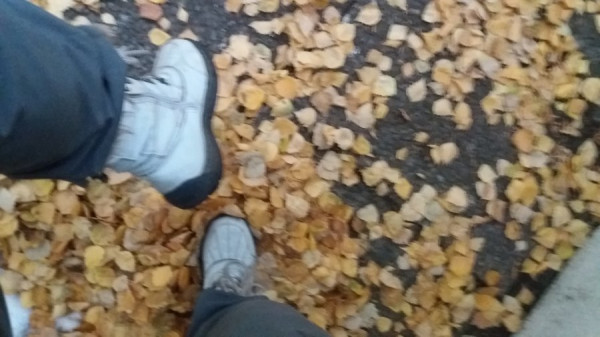 20201205_153436.jpg