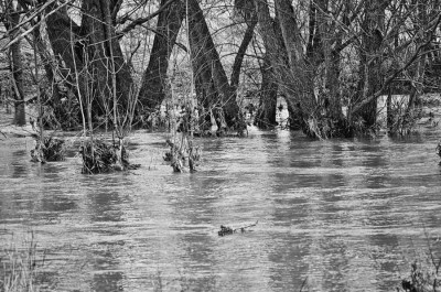 unter Wasser 2A.jpg