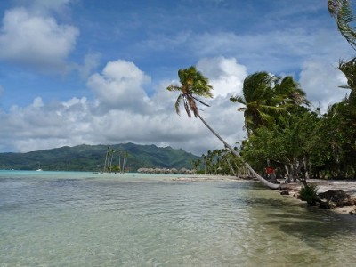 Tahaa.jpg