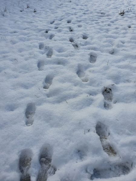 20201212_143346.jpg