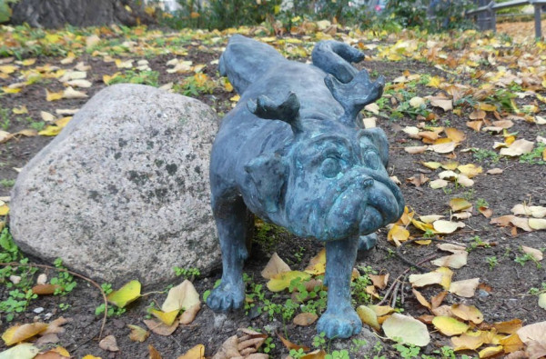 mops.jpg