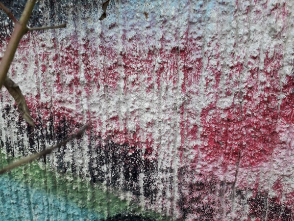 20201230_142630.jpg