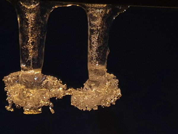 20201225_223039.jpg