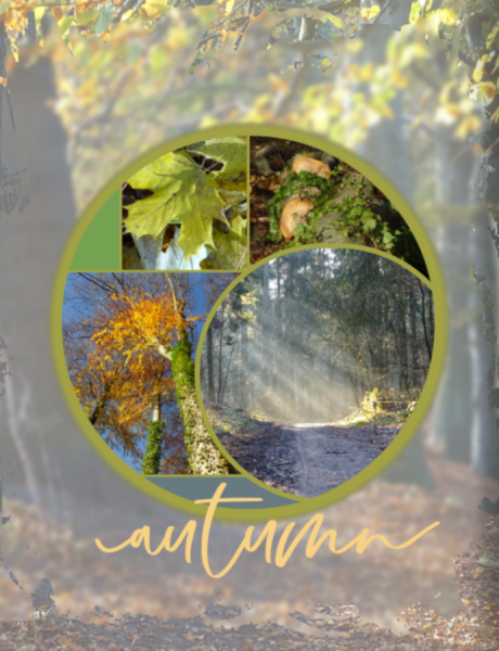 Herbst.png