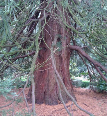 2013-09-22_220706.jpg