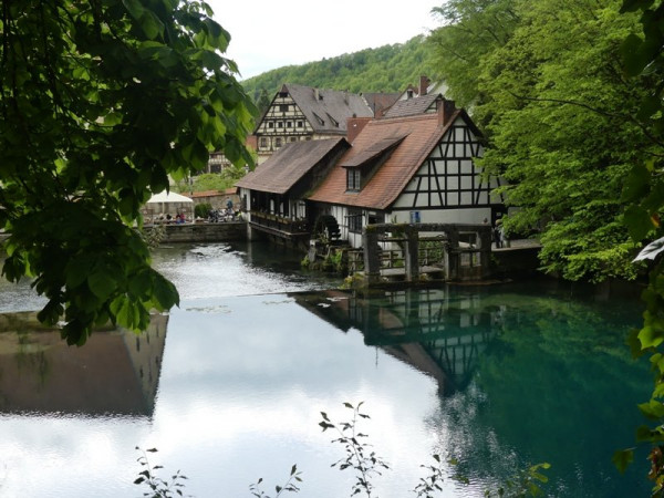 P1040611_1.jpg