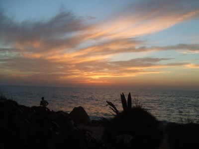 DSCF0055_1.JPG