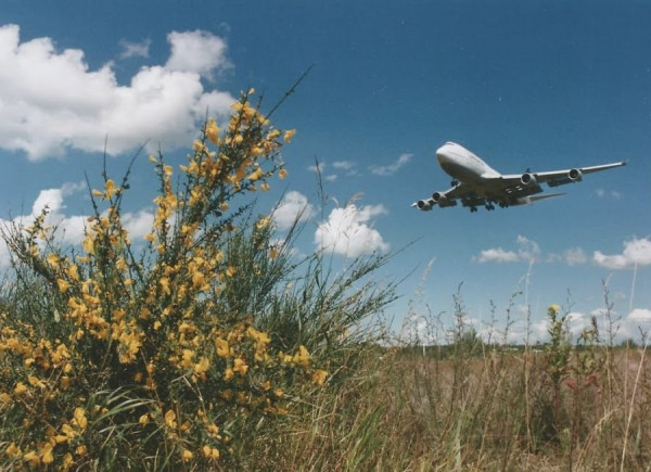 airline.jpg