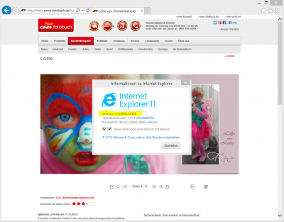IE-11-Win8Pro64-mit-Flash-Plugin.png