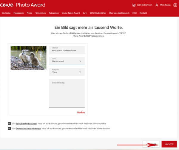 Award2.jpg