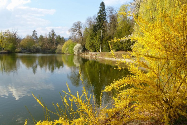 Frühling.jpg