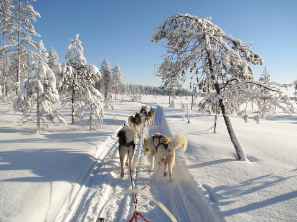 Saija Finnland.JPG