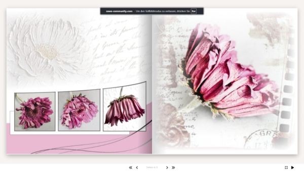 Screenshot (34).png