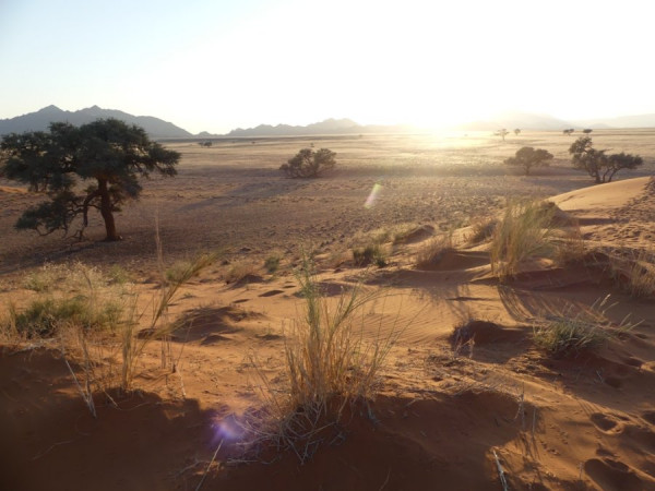 Landschaft_2.jpg