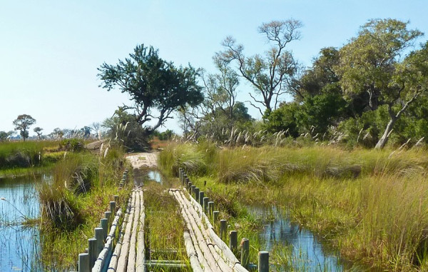 Okavangodelta.jpg