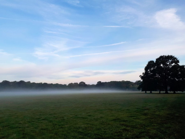 Nebel.jpeg