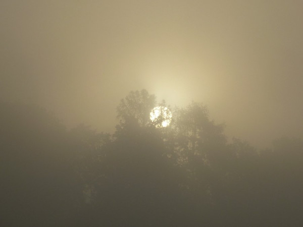 P1330552_klein.jpg