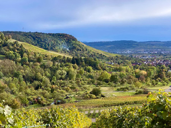 Herbst_1.JPG