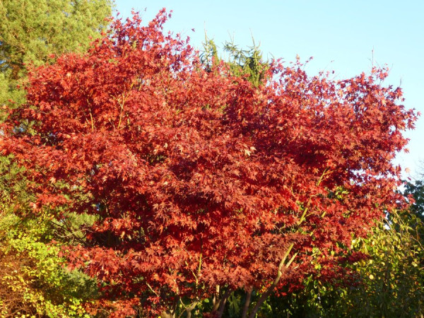 P1180251_klein.jpg