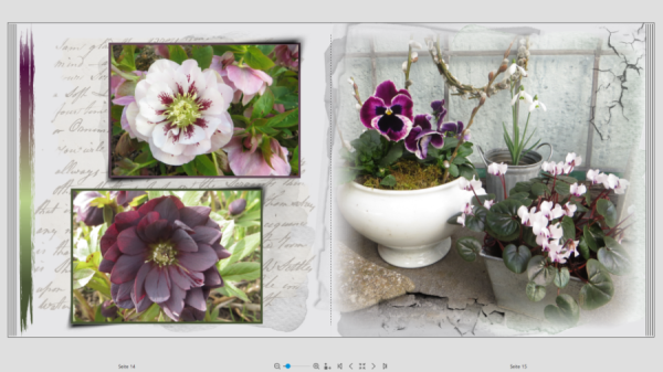 Screenshot (41).png