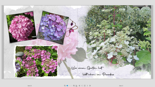 Screenshot (43).png