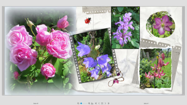 Screenshot (45).png