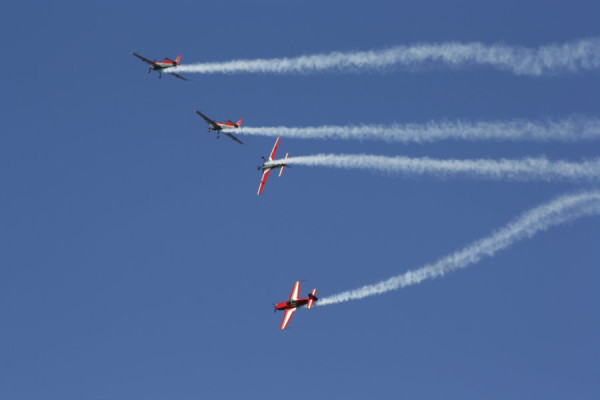 _MG_0896.JPG