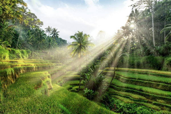 ID-DE-Travel_&_Culture-3082610-min.jpg