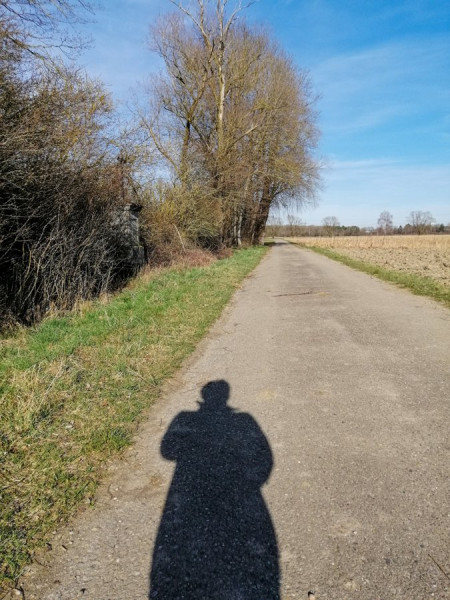 Schattenspiele.jpg