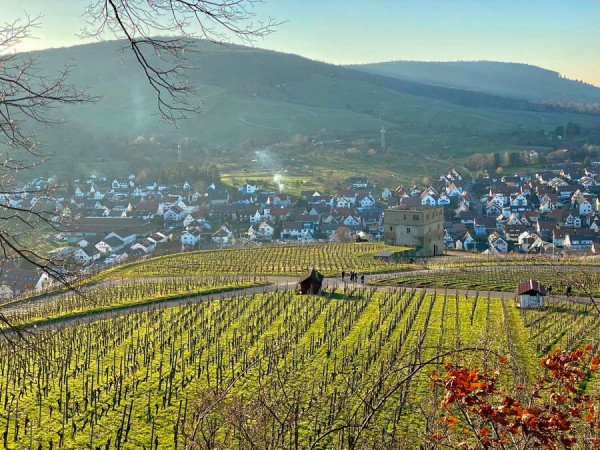 Frühling_3.JPG