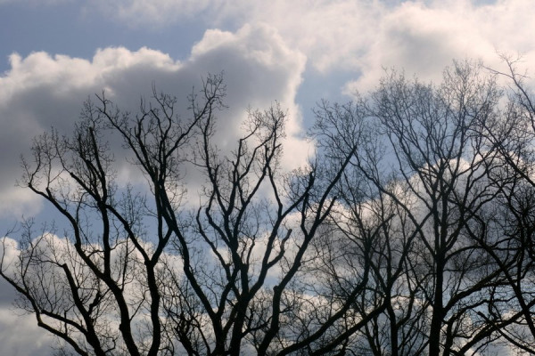 2025-03-13_FZ0831_Frühling.JPG