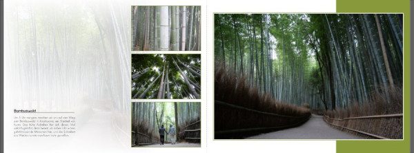 kyoto.jpg