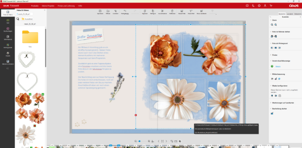 Screenshot (1).png