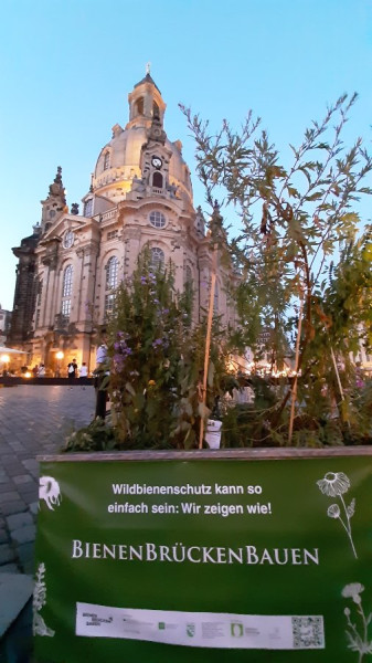 20250702_215250.jpg