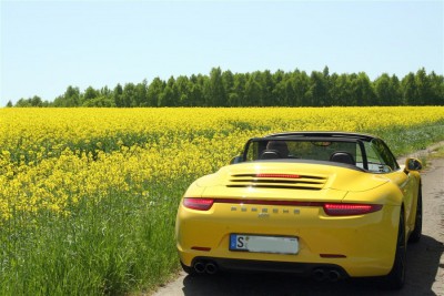 ceweIMG_1694.JPG