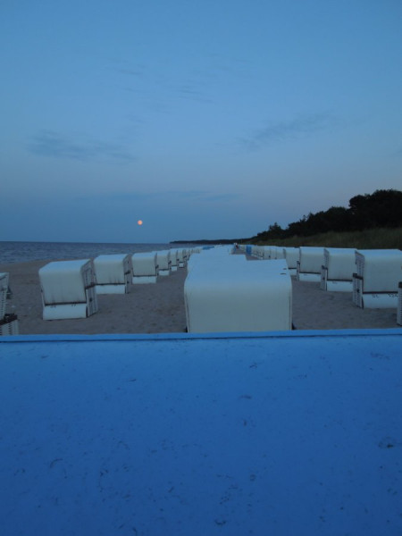 DSCN3949.jpg