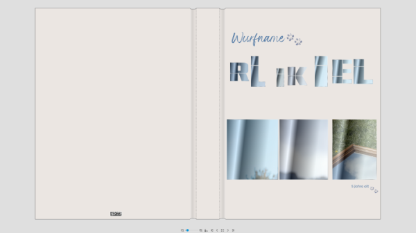 Screenshot (64).png
