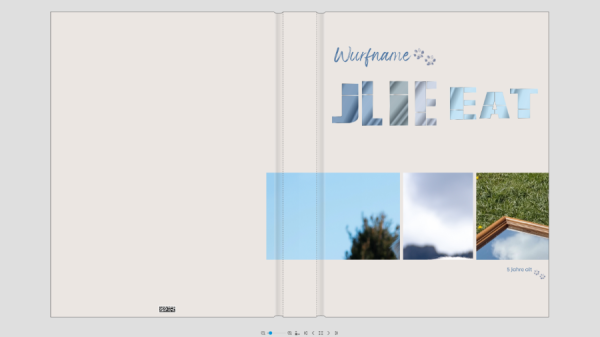 Screenshot (65).png
