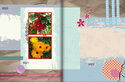 sc(0001).jpg