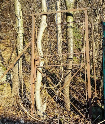 CameraZOOM-20131214143019289.jpg