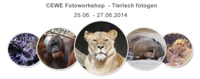 zoo-header.jpg