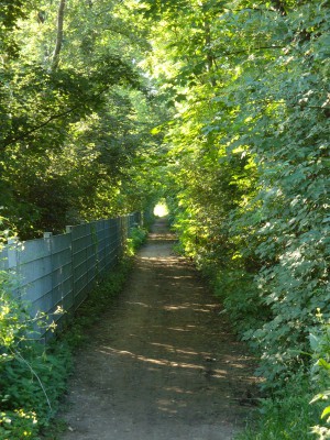 Naturtunnel.jpg