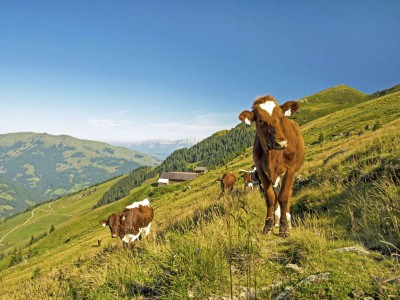 Titelbild-4-4.jpg