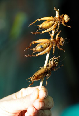 2009-Burma-07112009-910.jpg