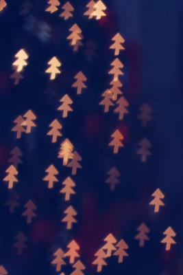 Tannenbaum Bokeh.jpg