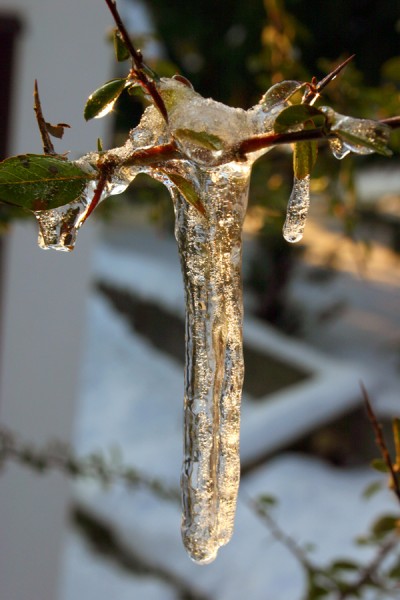 Eiszapfen.jpg