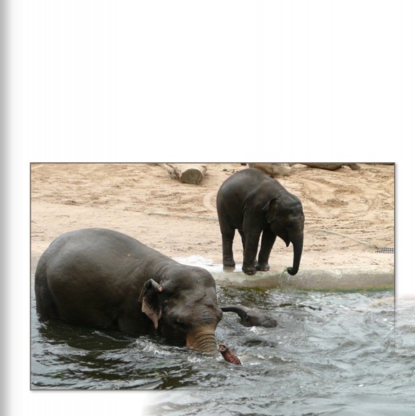 Wasser auslaufend1.jpg