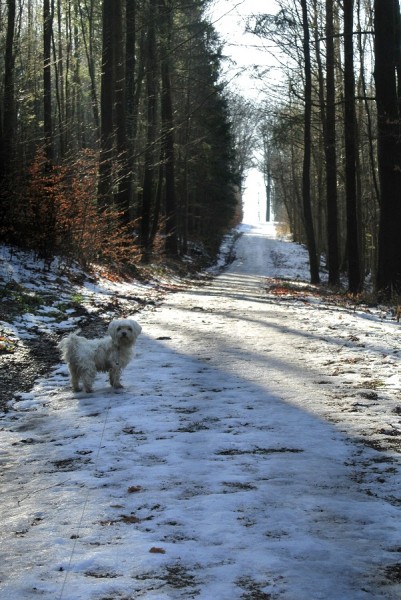 Weg zum Kloster.JPG