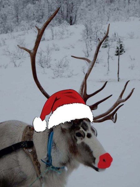 rudolph.jpg