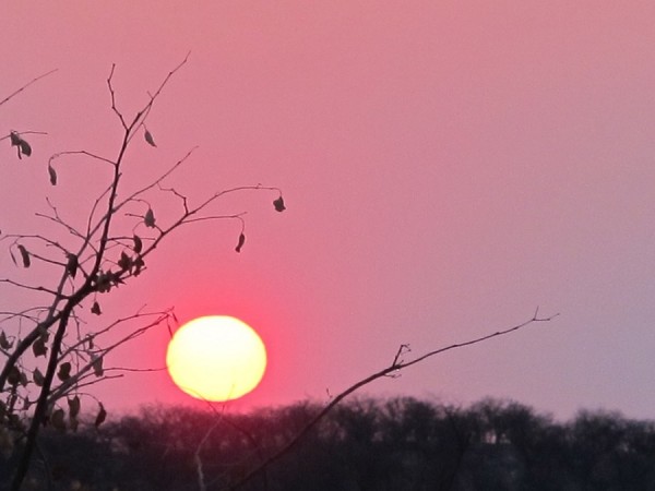 Etosha, Sonnenaufgang.jpg